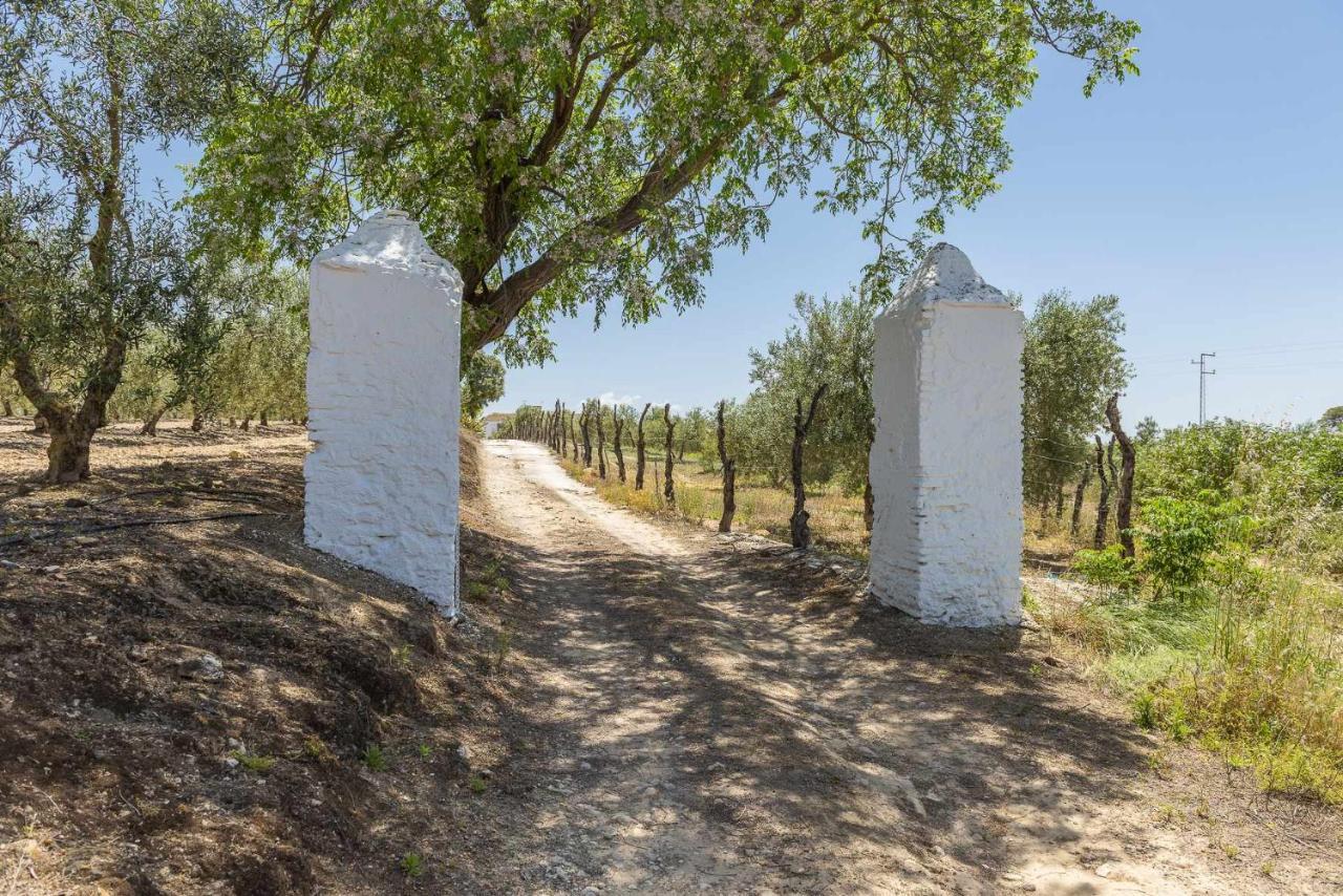 Villa Hacienda San Antonio Marchena  Esterno foto
